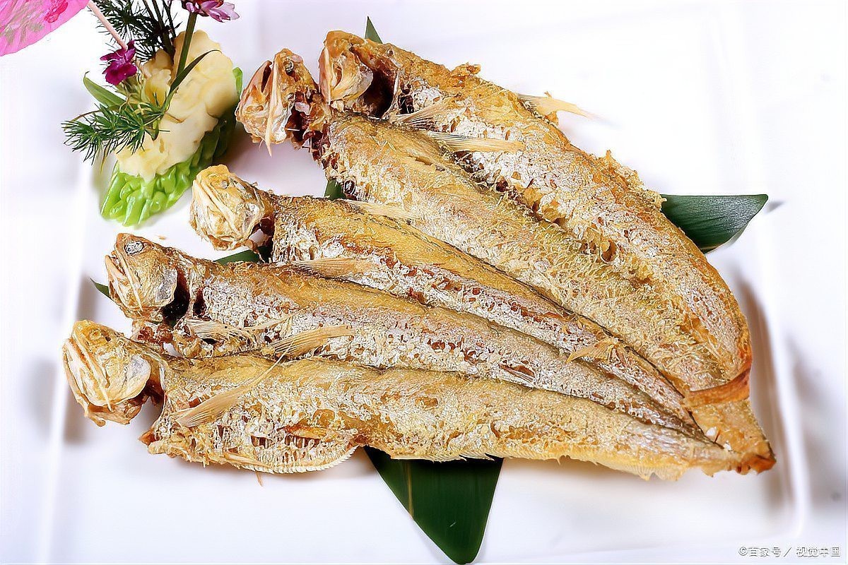 刀魚價格15一斤【15元一斤的刀魚，為什么價格懸殊十倍，網友：6000一斤】 刀魚價格15一斤【15元一斤的刀魚，為什么價格懸殊十倍，網友：6000一斤】 龍魚論壇 第8張