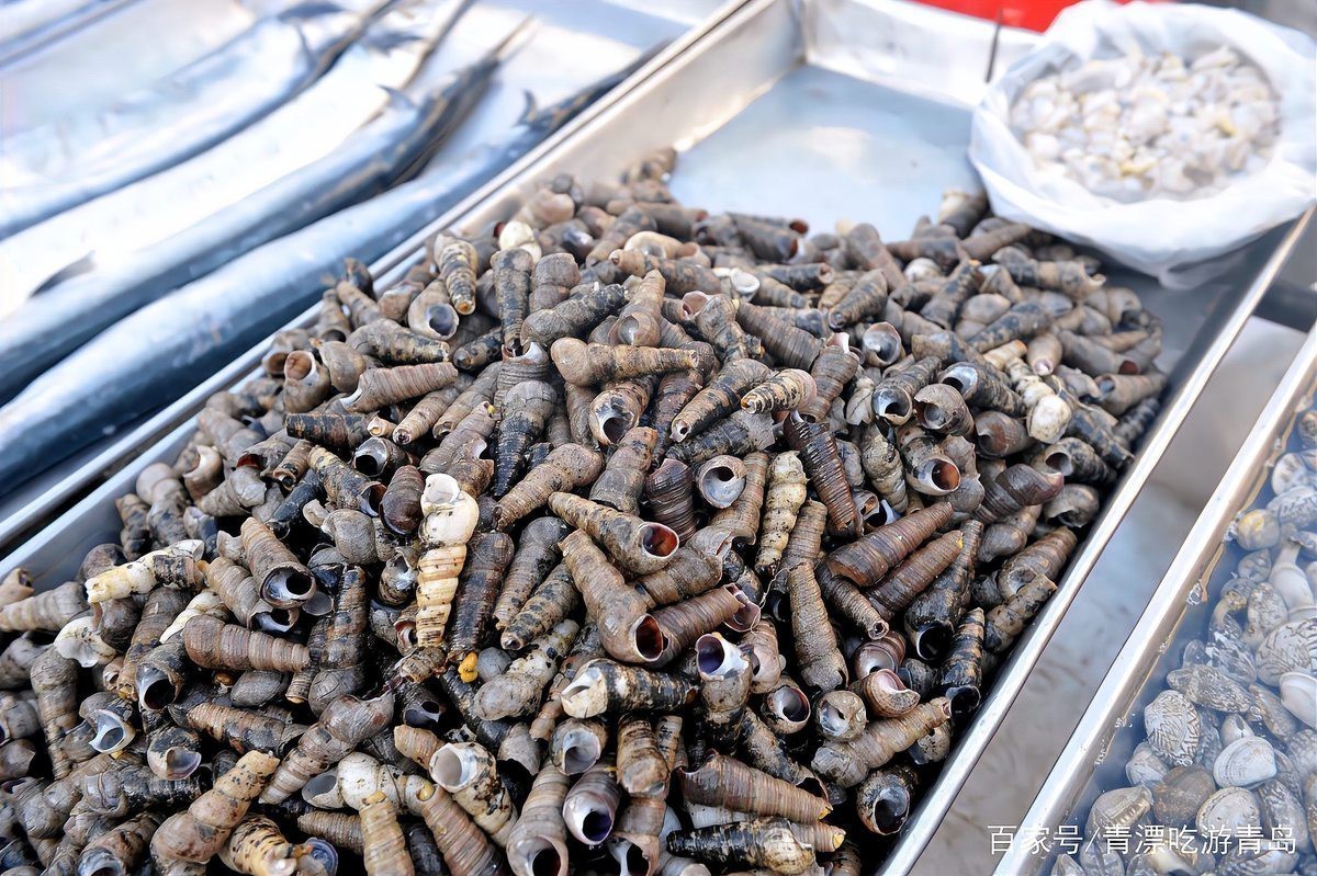 刀魚價格15一斤【15元一斤的刀魚，為什么價格懸殊十倍，網友：6000一斤】 刀魚價格15一斤【15元一斤的刀魚，為什么價格懸殊十倍，網友：6000一斤】 龍魚論壇 第9張
