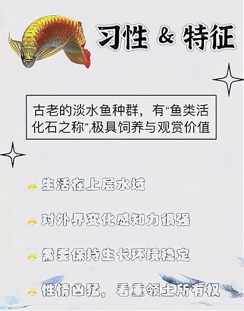 雷龍魚眼睛外凸正常嗎【雷龍魚眼睛外凸是否正常】