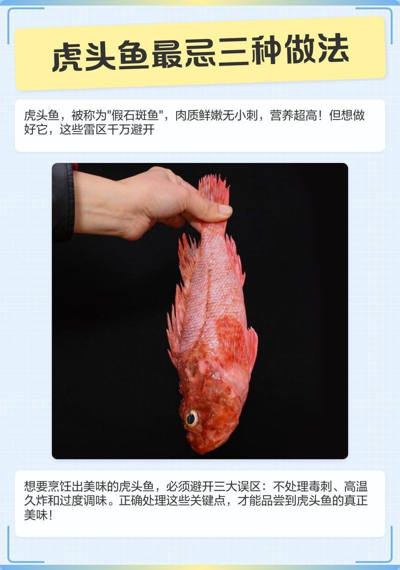 虎頭魚最忌三種做法【虎頭魚最忌諱的三種烹飪方法并提供“3不可放替代”】