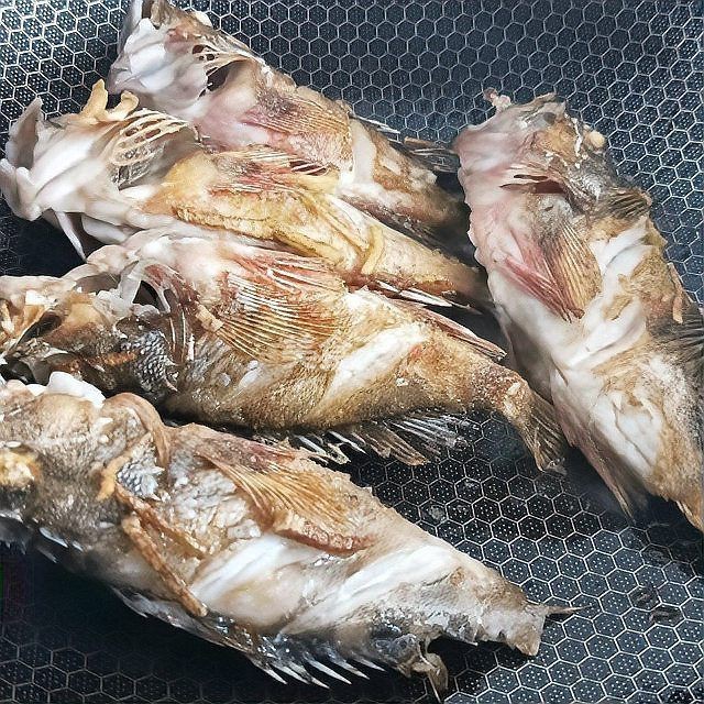 虎頭魚(yú)最忌三種做法【虎頭魚(yú)最忌諱的三種烹飪方法并提供“3不可放替代”】