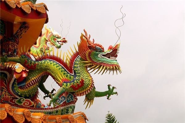 綠皮紅龍最忌三種顏色【《綠皮紅龍最忌三種顏色》】 綠皮紅龍最忌三種顏色【《綠皮紅龍最忌三種顏色》】 龍魚百科 第5張