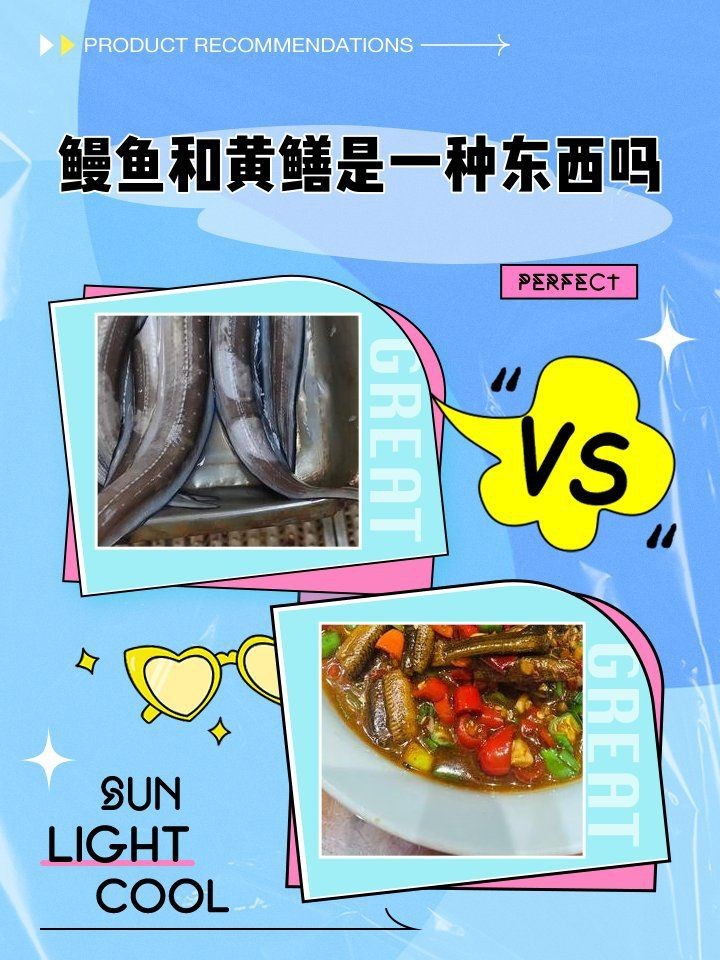 鰻魚和黃鱔是一種東西嗎【復禾健康，鰻魚和黃鱔是一種魚嗎】 鰻魚和黃鱔是一種東西嗎【復禾健康，鰻魚和黃鱔是一種魚嗎】 龍魚百科 第1張