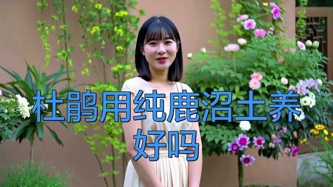 鹿沼土為什么不建議種【鹿沼土不能種的5種原因】 鹿沼土為什么不建議種【鹿沼土不能種的5種原因】 龍魚百科 第4張