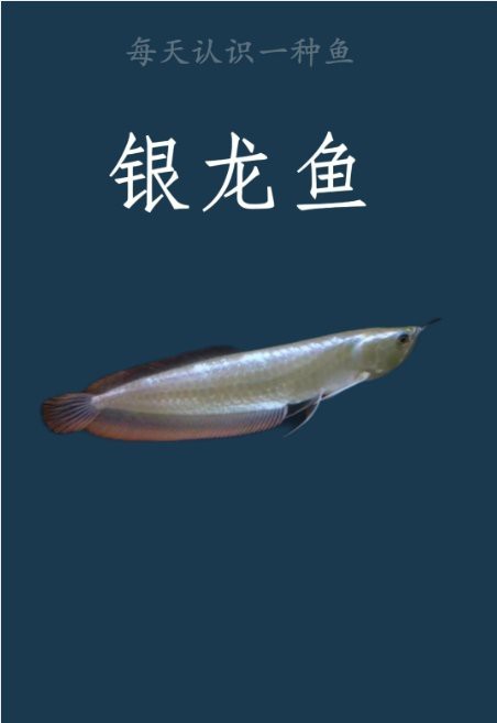 龍魚鰓蓋再生期間需要換水嗎？【龍魚鰓蓋再生期間如何換水】
