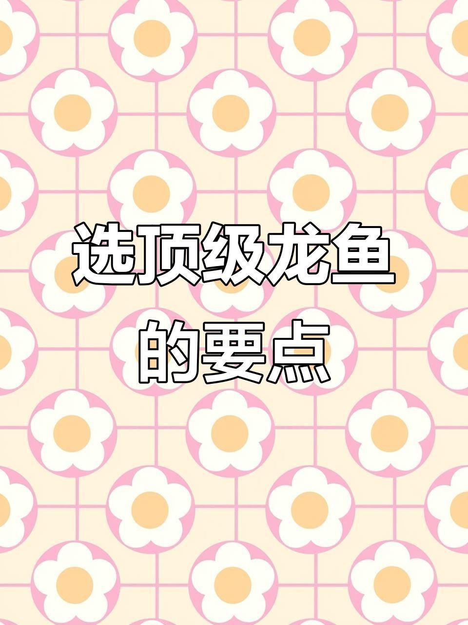 如何鑒別龍魚(yú)的品相？【如何挑選一只好的龍魚(yú)】 如何鑒別龍魚(yú)的品相？【如何挑選一只好的龍魚(yú)】 龍魚(yú)百科 第4張