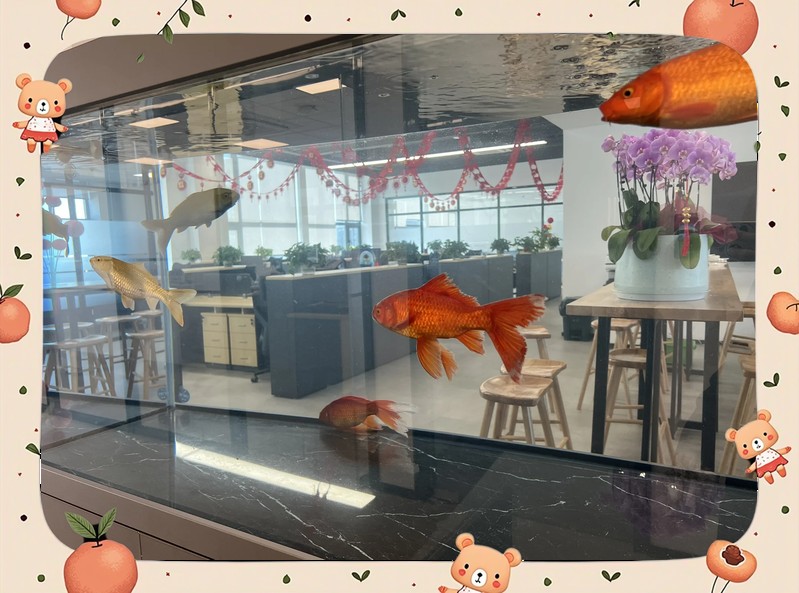 得了水霉病需要清缸嗎【養魚人的治療水霉病秘籍大揭秘!】 得了水霉病需要清缸嗎【養魚人的治療水霉病秘籍大揭秘!】 龍魚論壇 第5張