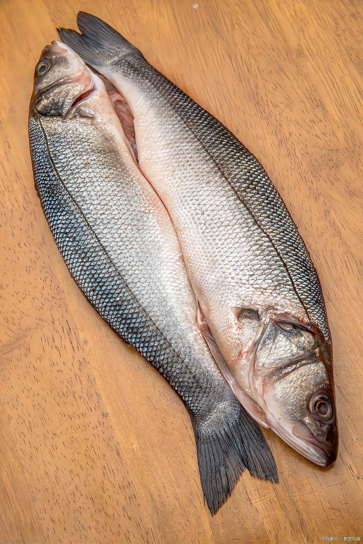 鯛魚燒的鯛怎么讀【“鯛”字讀音為“diao”,**正確讀音】