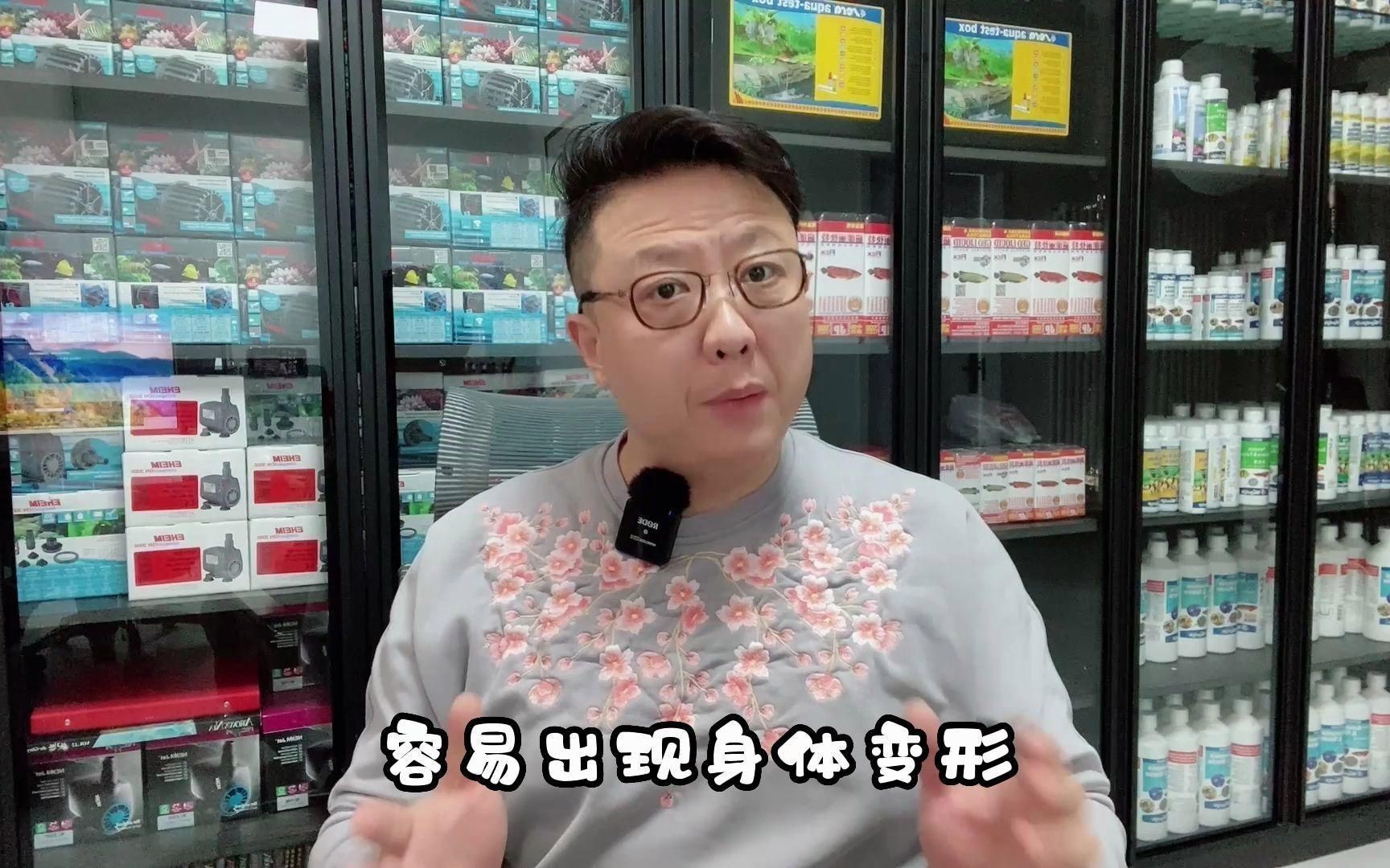 龍魚的最佳飼養溫度是多少？【第340話龍魚飼養最佳溫度嗶哩嗶哩】