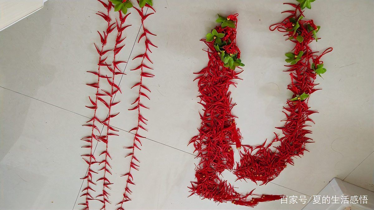 紅辣椒寓意和象征【《紅辣椒寓意和象征》】 紅辣椒寓意和象征【《紅辣椒寓意和象征》】 龍魚論壇 第9張