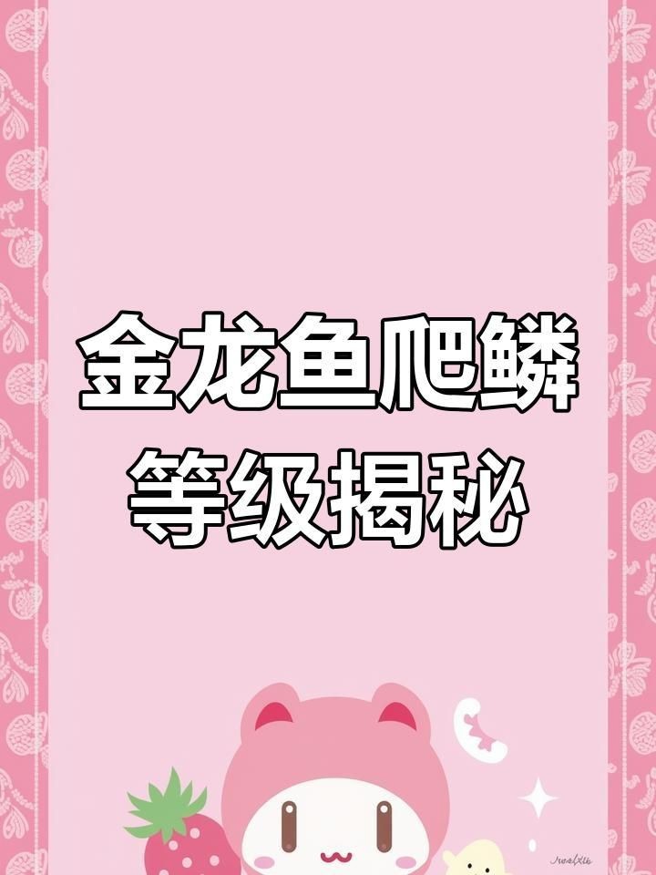 金龍魚級別排位【大神分享:如何快速區分金龍魚品質松仔講魚】