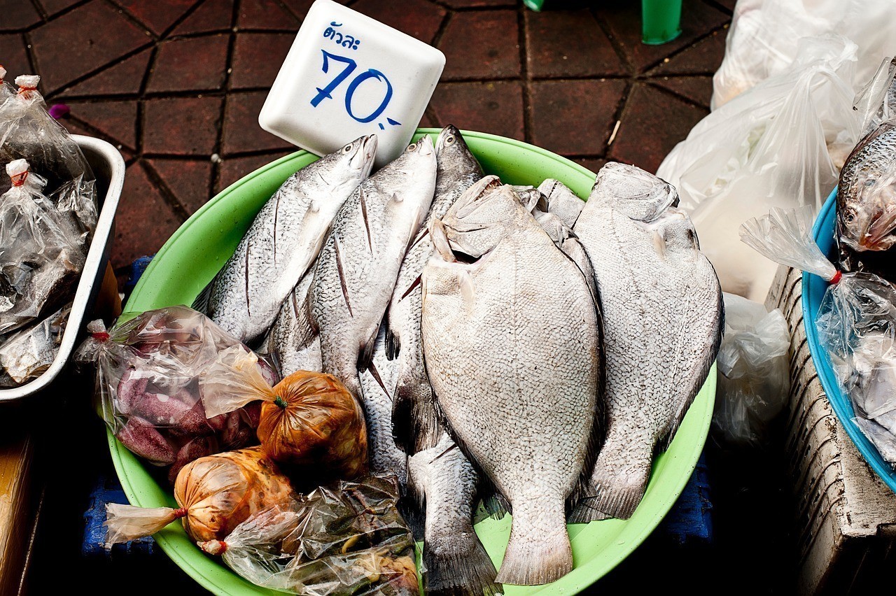 b級過背金龍魚多少錢【b級過背金龍魚的價格差異主要范圍是多少？】 b級過背金龍魚多少錢【b級過背金龍魚的價格差異主要范圍是多少？】 水族問答 第1張