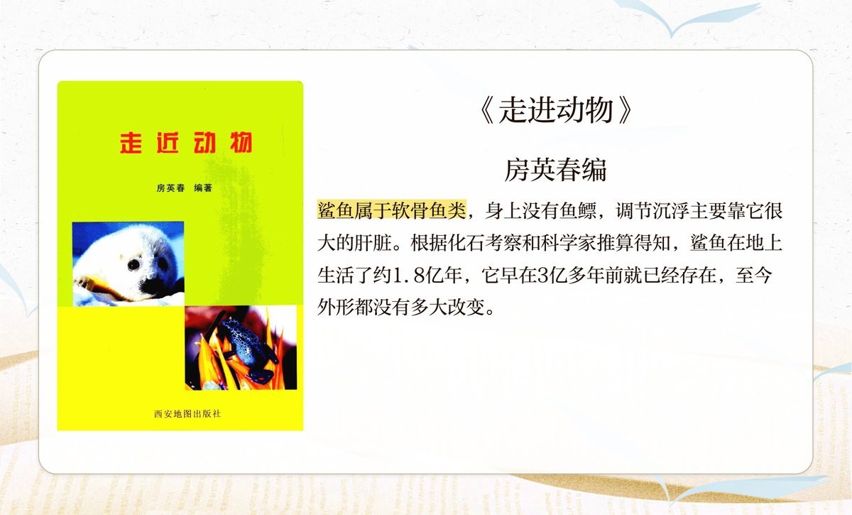 鯊魚捕食視頻觀看【《海洋里的科學》鯊魚捕食視頻中的感官系統的進化奇跡】