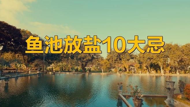 馬印水族魚鹽最忌三種東西【《馬印水族魚鹽最忌三種東西》】 馬印水族魚鹽最忌三種東西【《馬印水族魚鹽最忌三種東西》】 龍魚百科 第2張