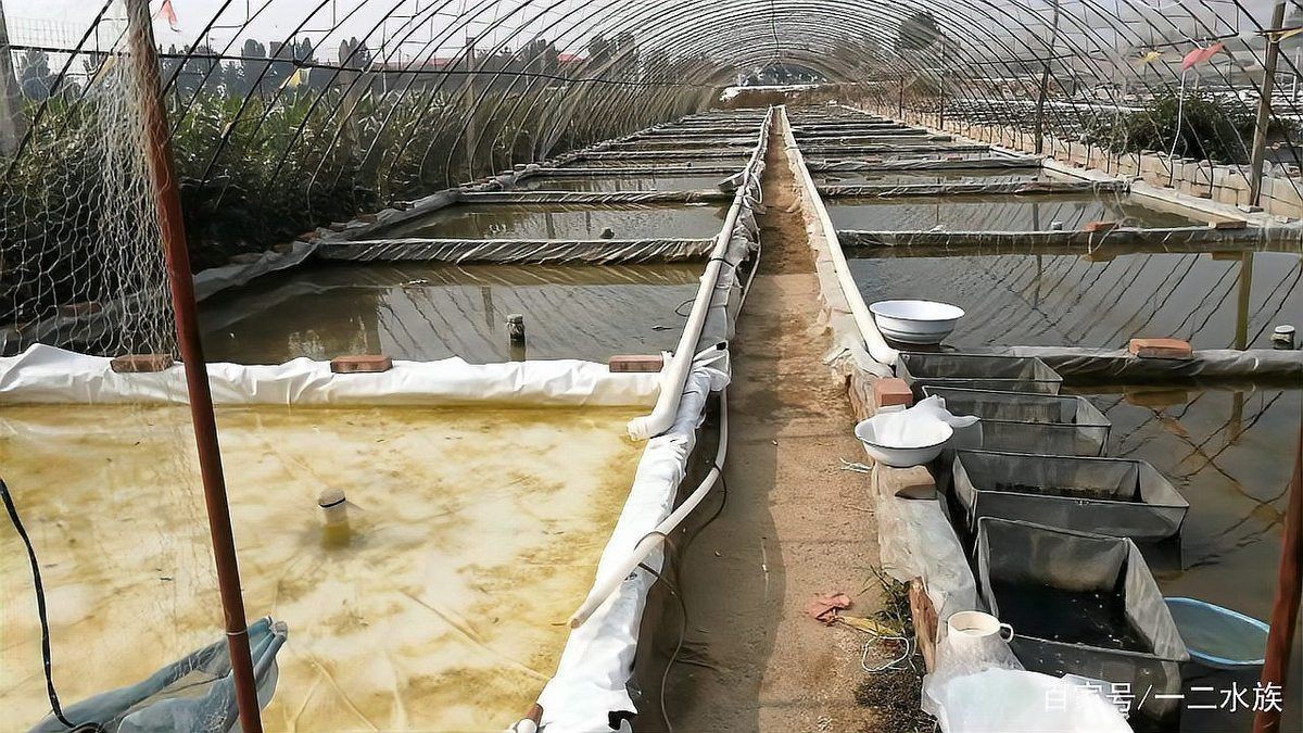 邯鄲一二水族在什么地方