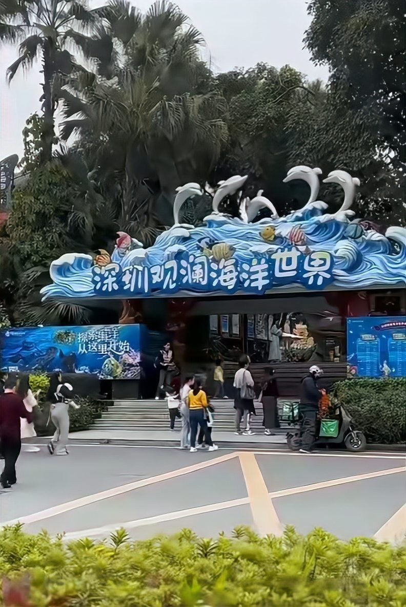 深圳海洋館哪個比較好【探秘深圳小梅沙海洋世界】