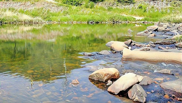 農(nóng)村小河魚的品種大全【農(nóng)村小河魚品種豐富多樣，已成為水族箱里的佼佼者】 農(nóng)村小河魚的品種大全【農(nóng)村小河魚品種豐富多樣，已成為水族箱里的佼佼者】 龍魚論壇 第6張