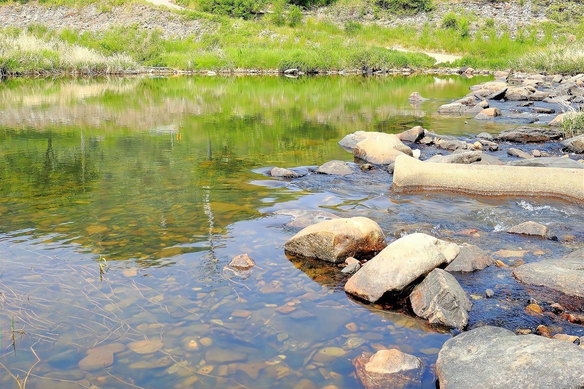 農村小河魚的品種大全【農村小河魚品種豐富多樣，已成為水族箱里的佼佼者】