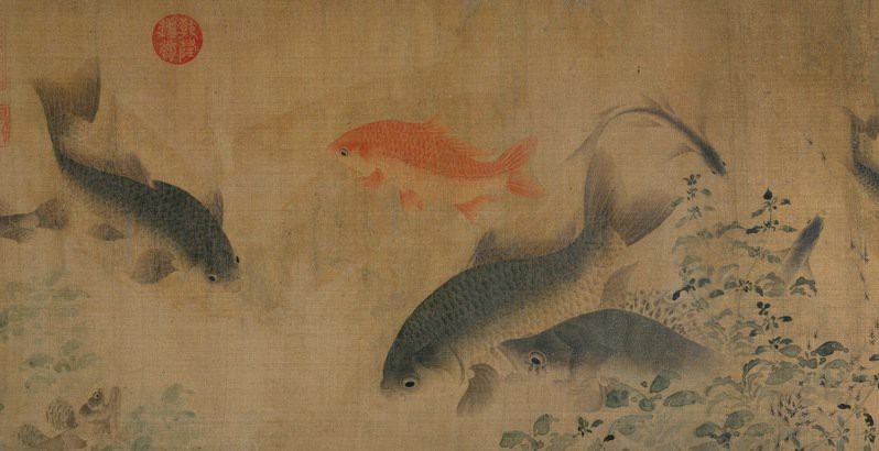 一般人會(huì)比喻做龍魚(yú)的嗎【《龍魚(yú)：水中 一般人會(huì)比喻做龍魚(yú)的嗎【《龍魚(yú)：水中\(zhòng)