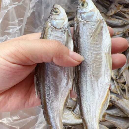 翹嘴多少錢一斤【2018年8月翹嘴魚價格走勢分析】 翹嘴多少錢一斤【2018年8月翹嘴魚價格走勢分析】 龍魚論壇 第4張
