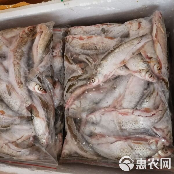 翹嘴多少錢一斤【2018年8月翹嘴魚價格走勢分析】 翹嘴多少錢一斤【2018年8月翹嘴魚價格走勢分析】 龍魚論壇 第7張