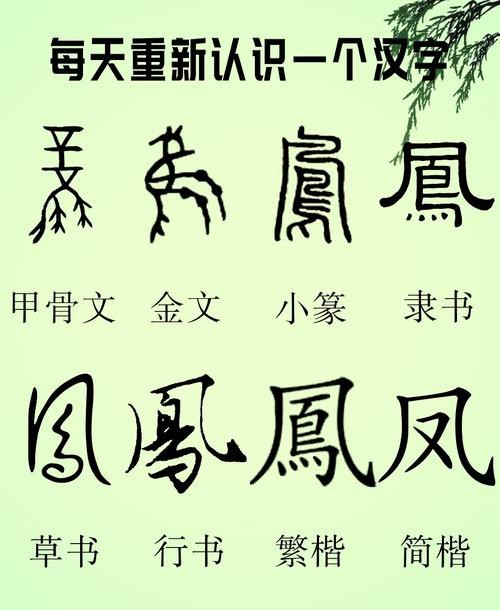 飛鳳直紋和斜紋圖片【飛鳳直紋與斜紋圖片展現了獨特的紋理與設計魅力】