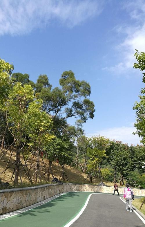治療期間換水過多或過少會有哪些影響，治療期間飲水過多或過多或過少，飲水過多會對身體有影響