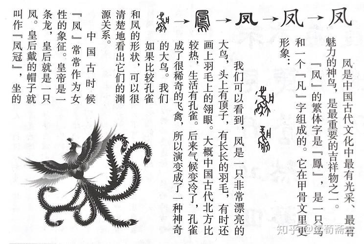 飛鳳直紋和斜紋圖片【飛鳳直紋與斜紋圖片展現(xiàn)了獨(dú)特的紋理與設(shè)計(jì)魅力】