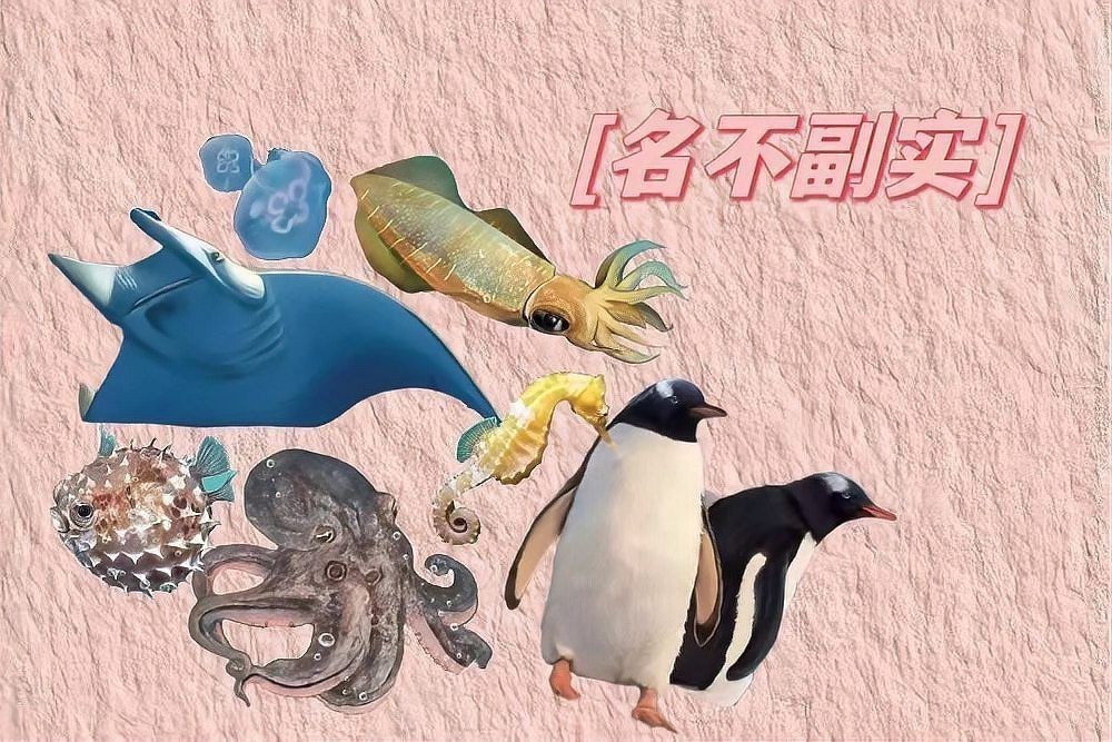 龍是魚類嗎【科普一分鐘丨海龍不是魚】