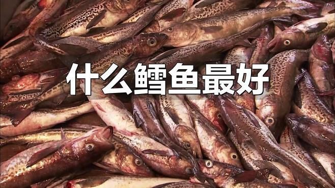 哪種鱈魚(yú)適合嬰兒吃【7種鱈魚(yú)營(yíng)養(yǎng)pk,值得買(mǎi)的是…】