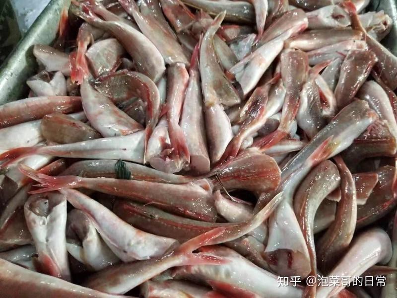 紅頭魚為什么沒人吃【為什么紅頭魚在中國市場如此受關注？】