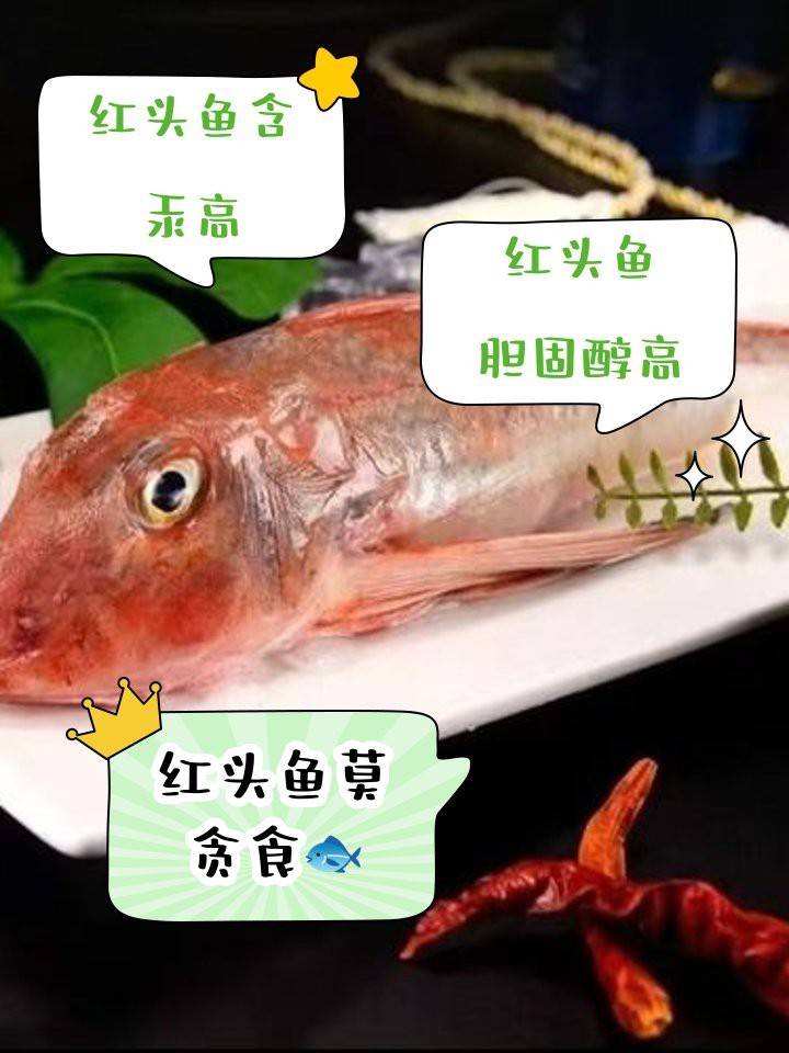 紅頭魚為什么沒人吃【為什么紅頭魚在中國市場如此受關注？】