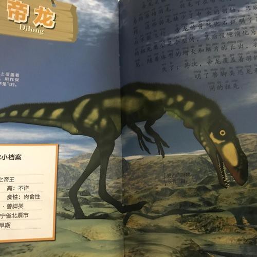 給我一些帝龍的圖片【帝龍化石發現的具體地點，帝龍與哪些恐龍關系近】 給我一些帝龍的圖片【帝龍化石發現的具體地點，帝龍與哪些恐龍關系近】 龍魚論壇 第11張