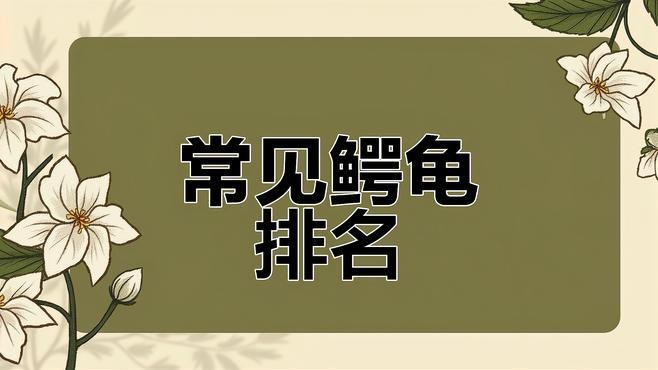鱷龜最建議買的三個品種【鱷龜幾大常見品種分析】