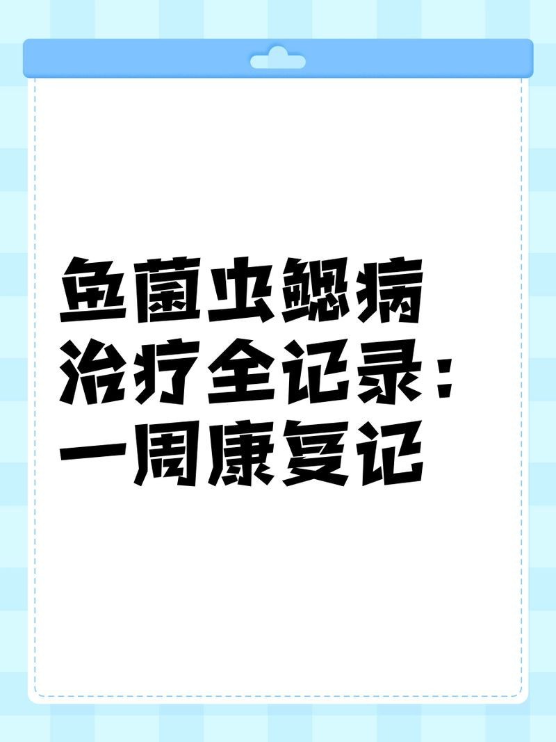 龍魚真菌感染需要多長時間治療？【魚真菌感染的治療時間】