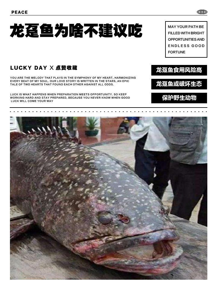 龍躉魚為何要盡量少吃【龍躉魚為啥不建議吃】