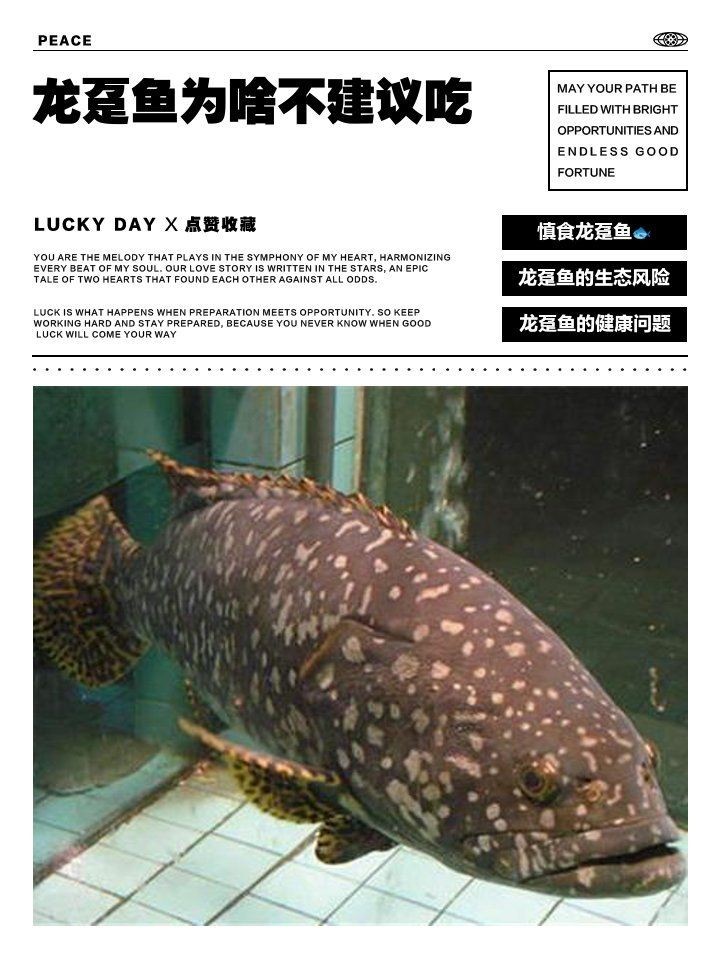 龍躉魚為何要盡量少吃【龍躉魚為啥不建議吃】