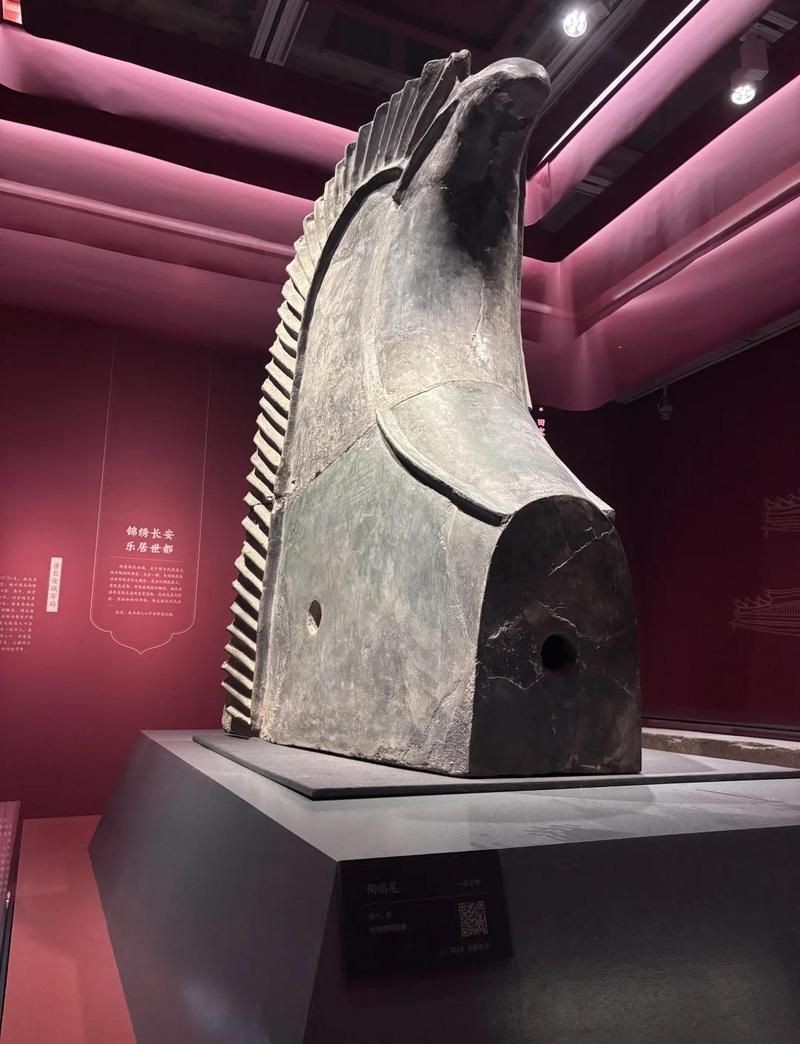 龍魚鎮(zhèn)宅最厲害三個東西【五帝錢與龍魚的搭配】 龍魚鎮(zhèn)宅最厲害三個東西【五帝錢與龍魚的搭配】 龍魚百科 第14張