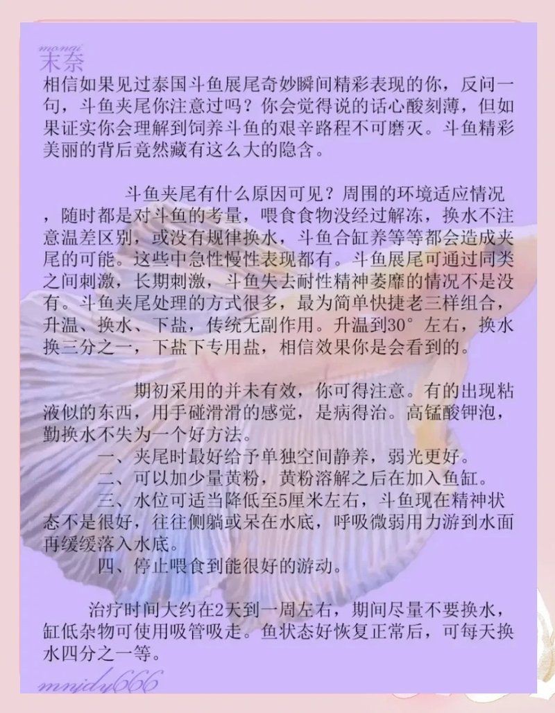 魚沉尾最快最怕三個(gè)東西【《魚沉尾最快最怕三個(gè)東西》】