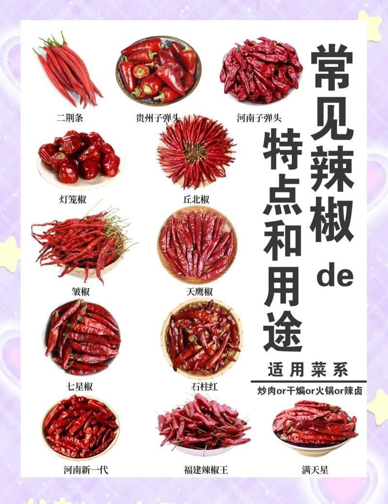辣椒品種大全及名稱【辣椒品種豐富多樣，】