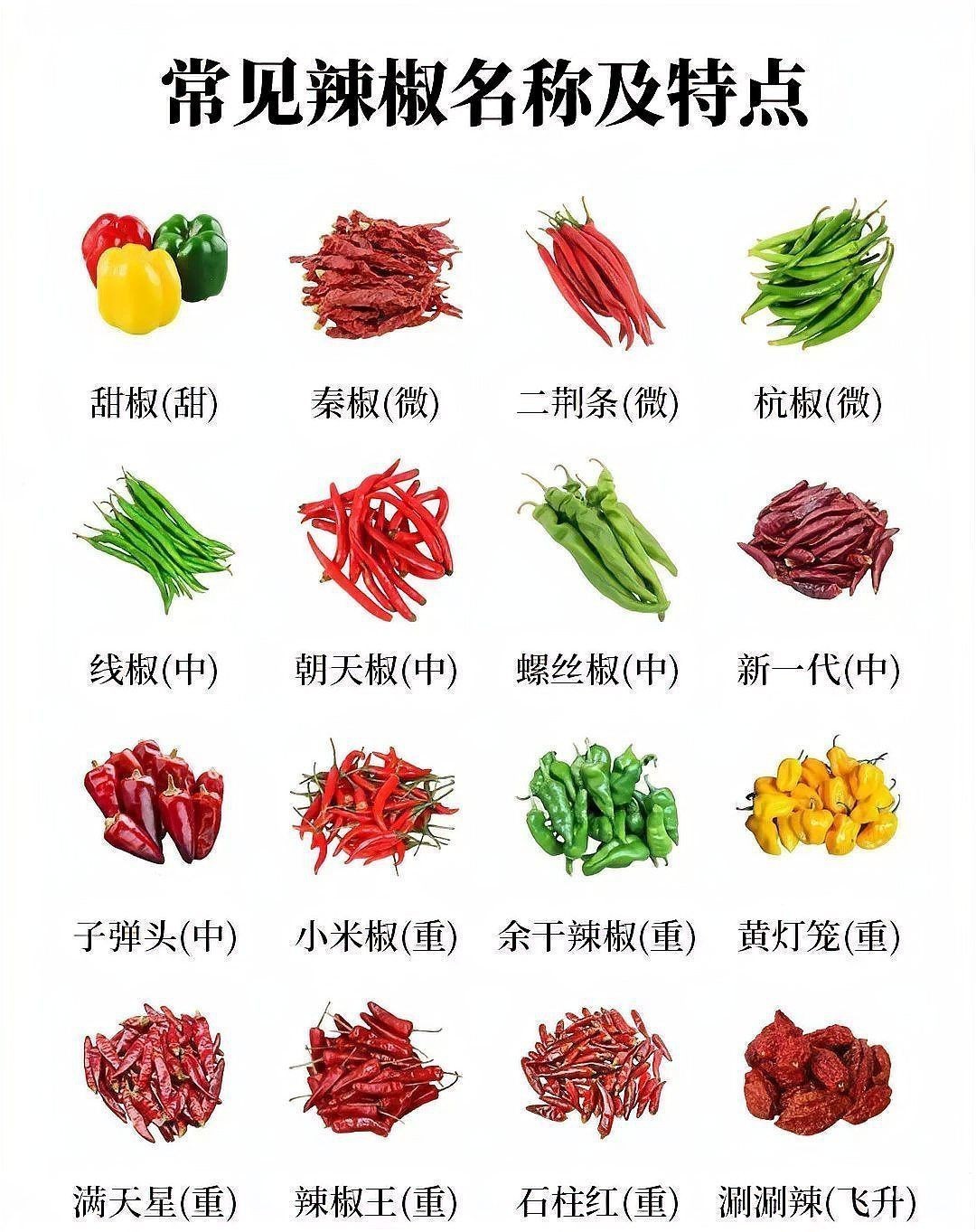 辣椒品種大全及名稱【辣椒品種豐富多樣，】