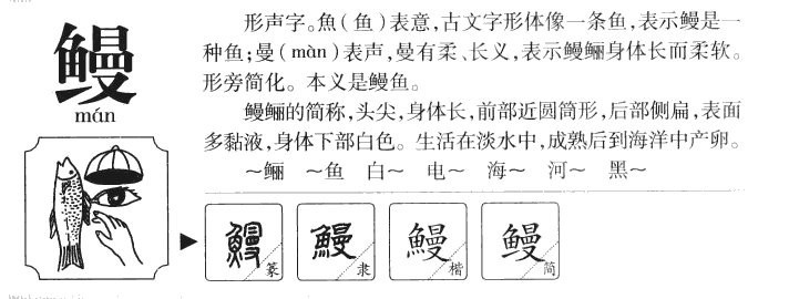 電鰻正確讀音【\