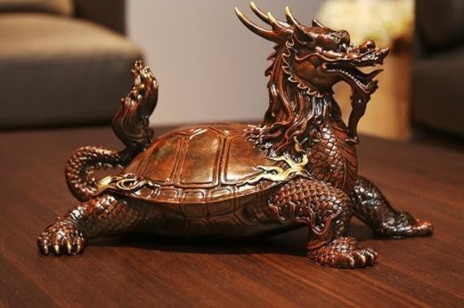 龍龜的朝向正確圖【關于龍龜的朝向正確圖】 龍龜的朝向正確圖【關于龍龜的朝向正確圖】 龍魚論壇 第27張