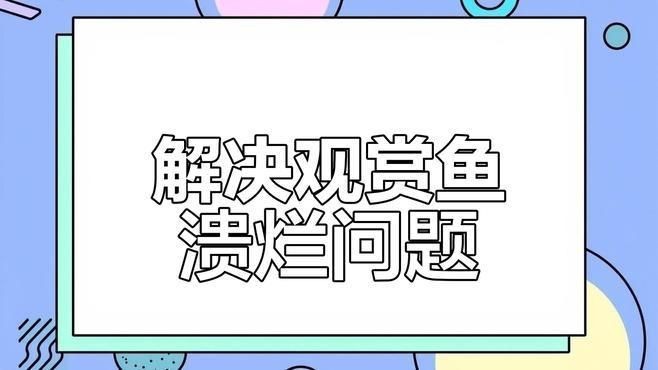 魚身上潰爛能自愈嗎？【魚身上潰爛通常較難自愈,*1.不同魚類的自愈能力】