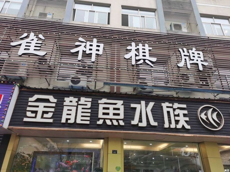 附近哪里有賣金魚的店【如何探尋附近售賣金魚的店鋪】 附近哪里有賣金魚的店【如何探尋附近售賣金魚的店鋪】 龍魚論壇 第7張