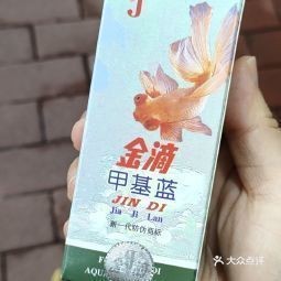 附近哪里有賣金魚的店【如何探尋附近售賣金魚的店鋪】 附近哪里有賣金魚的店【如何探尋附近售賣金魚的店鋪】 龍魚論壇 第9張