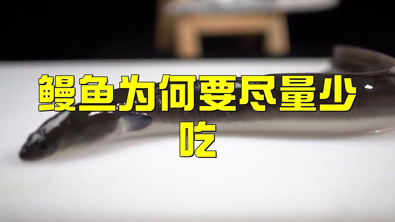 鰻魚盡量少吃的原因【鰻魚為何盡量少吃】