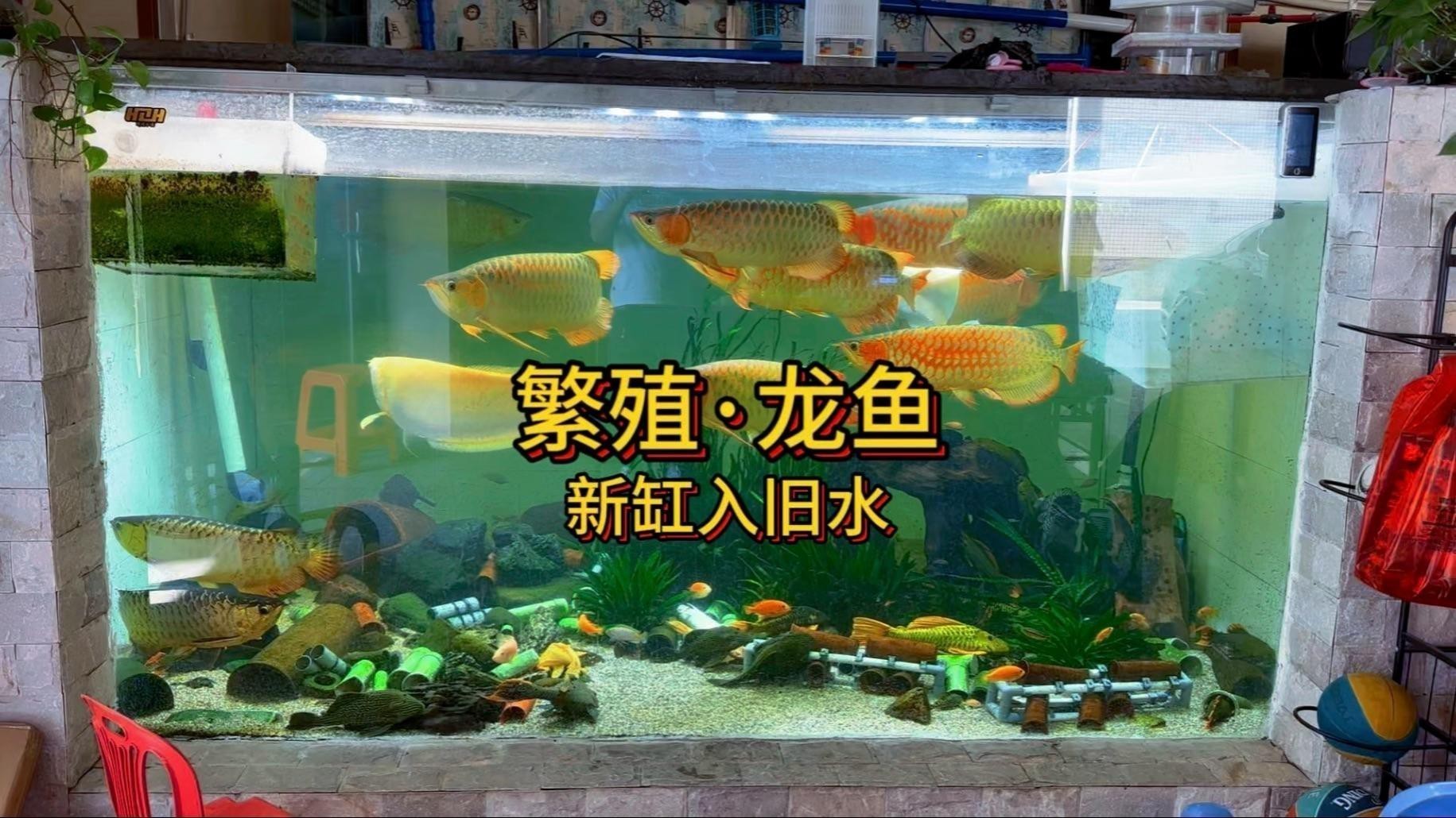 車調(diào)速手把漏電的修復(fù)方法主要包括以下幾個步驟，電動車調(diào)速手把漏電怎么辦
