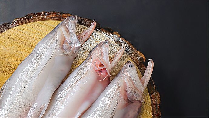 龍頭魚身大全【《龍頭魚身大全》】