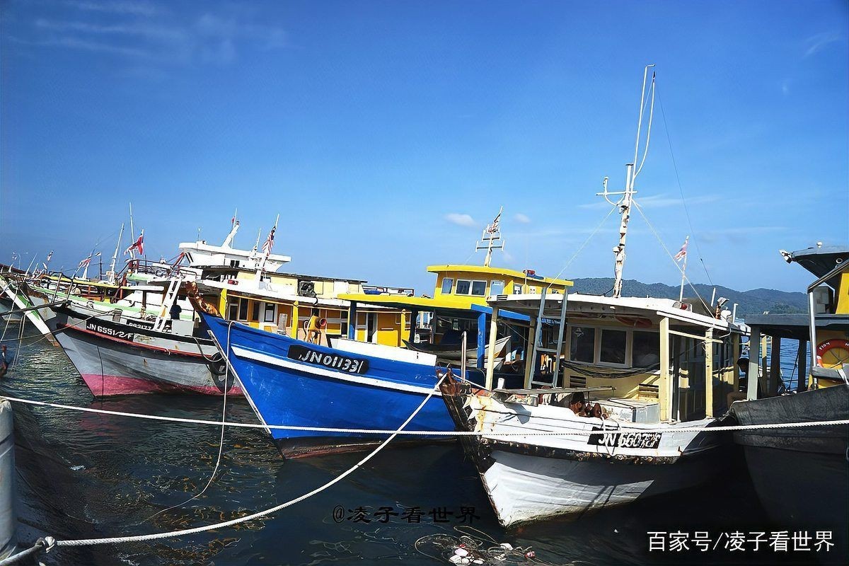 馬來(lái)西亞快魚(yú)哪里買(mǎi)最便宜【在馬來(lái)西亞購(gòu)買(mǎi)快魚(yú)最便宜的地點(diǎn)】 馬來(lái)西亞快魚(yú)哪里買(mǎi)最便宜【在馬來(lái)西亞購(gòu)買(mǎi)快魚(yú)最便宜的地點(diǎn)】 龍魚(yú)百科 第2張